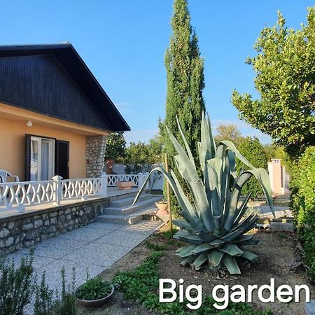 Mediterranean House 50M From The Sea Nin Extérieur photo