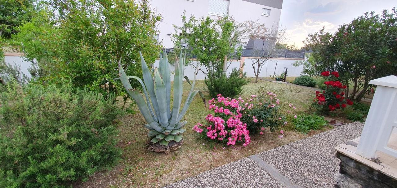 Mediterranean House 50M From The Sea Nin Extérieur photo